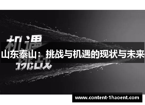 山东泰山：挑战与机遇的现状与未来
