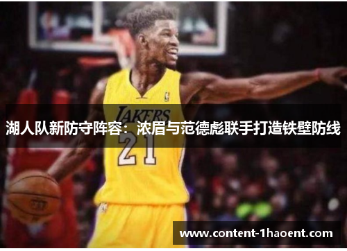 湖人队新防守阵容：浓眉与范德彪联手打造铁壁防线
