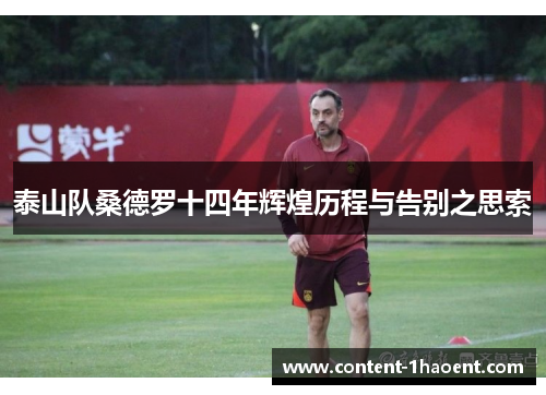 泰山队桑德罗十四年辉煌历程与告别之思索