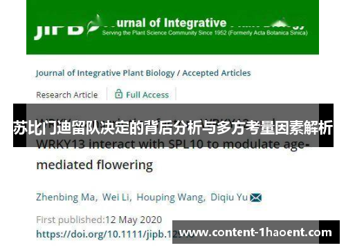 苏比门迪留队决定的背后分析与多方考量因素解析