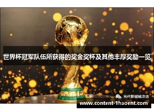 世界杯冠军队伍所获得的奖金奖杯及其他丰厚奖励一览