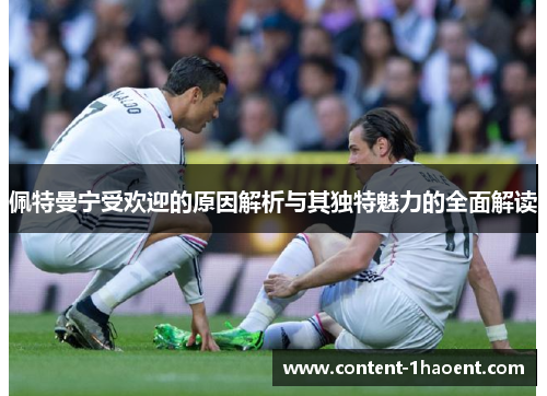 佩特曼宁受欢迎的原因解析与其独特魅力的全面解读