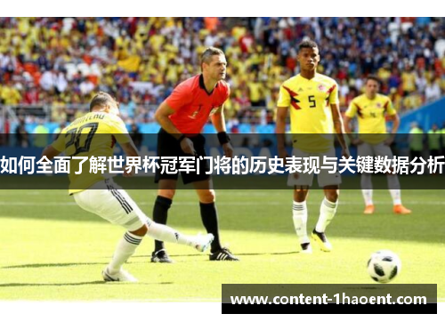 如何全面了解世界杯冠军门将的历史表现与关键数据分析