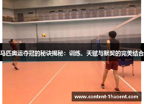 马匹奥运夺冠的秘诀揭秘：训练、天赋与默契的完美结合