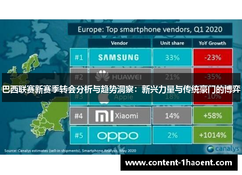 巴西联赛新赛季转会分析与趋势洞察：新兴力量与传统豪门的博弈