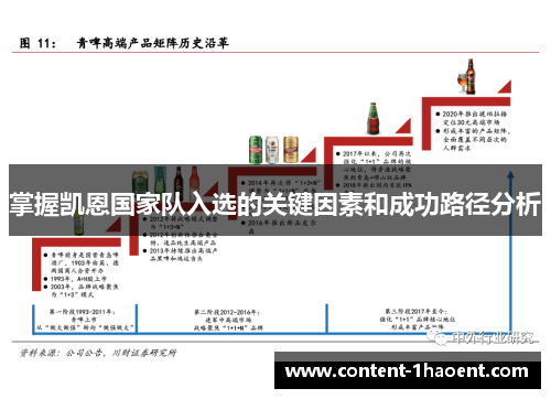 掌握凯恩国家队入选的关键因素和成功路径分析